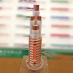 礦物質電纜系列TYYW BBTRZ